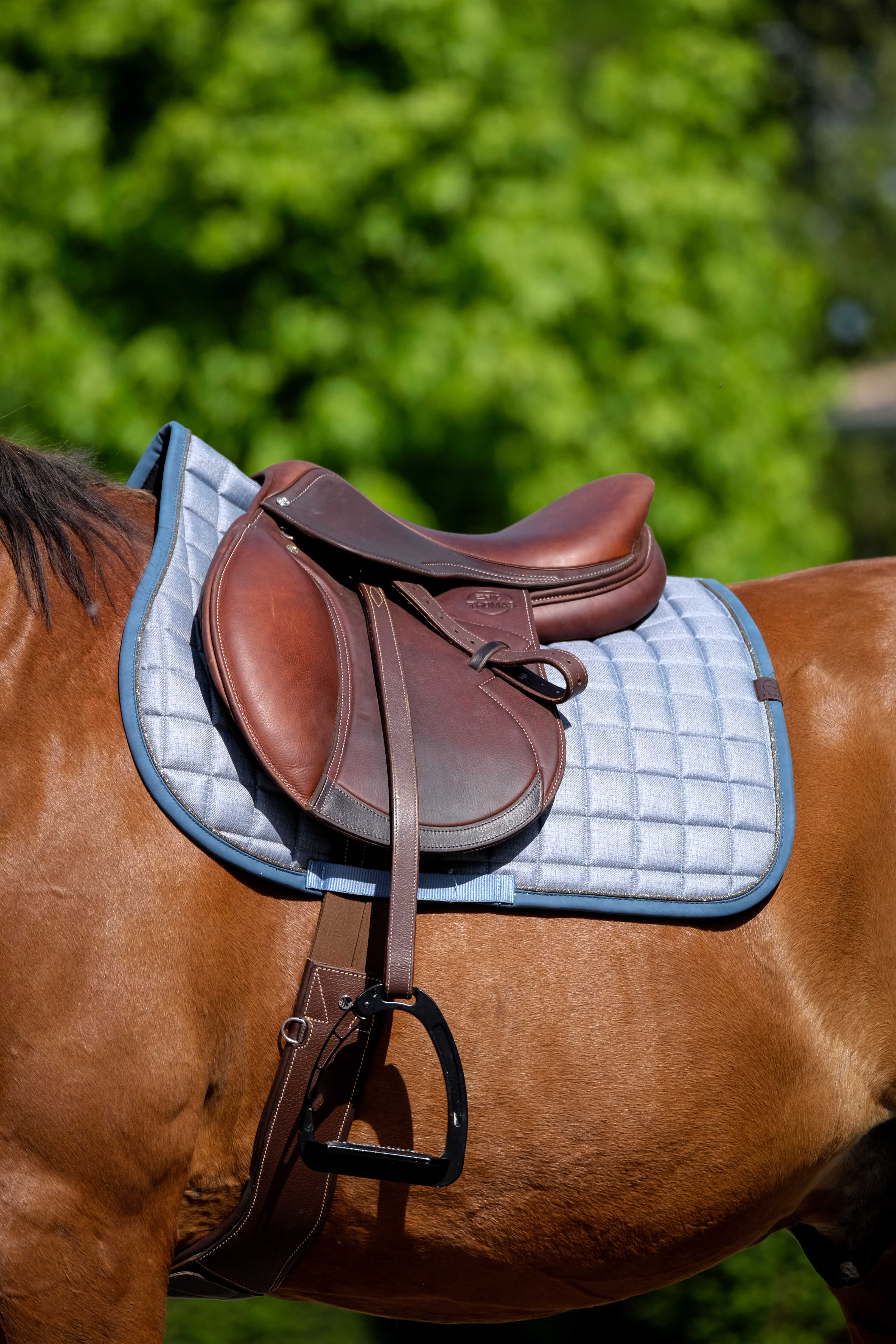 Equitheme Chic Satulahuopa Sininen - 2