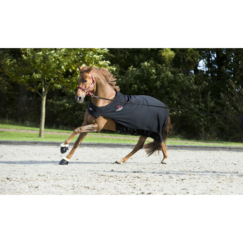 CATAGO FIR-Tech walker rug black - 2