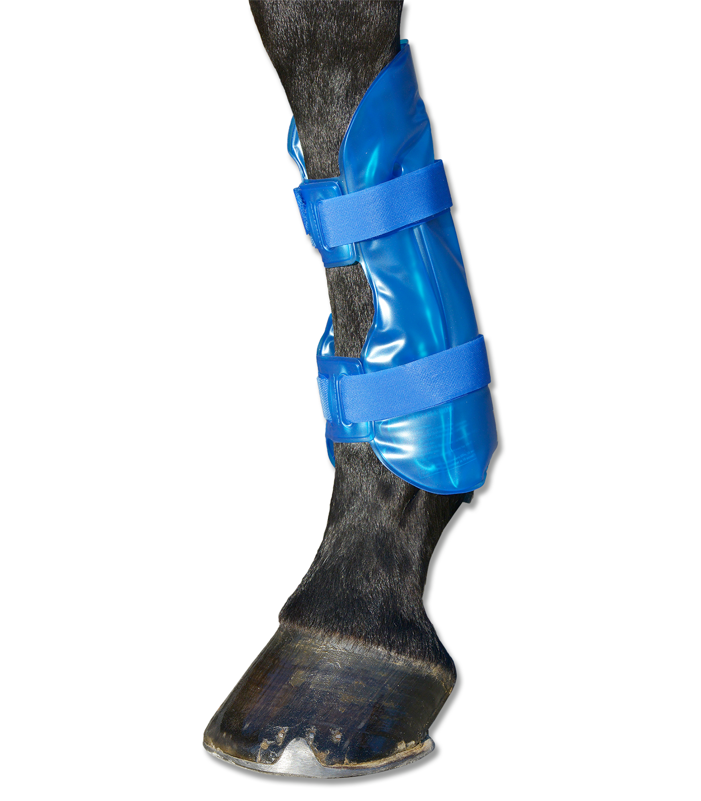 Waldhausen Cooling- or Warming Tendon Boot Hot-Chilly Leg, piece blue - 3