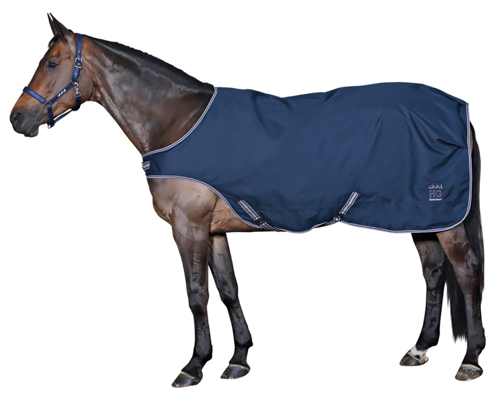 Horse Guard Kävelyloimi - Navy