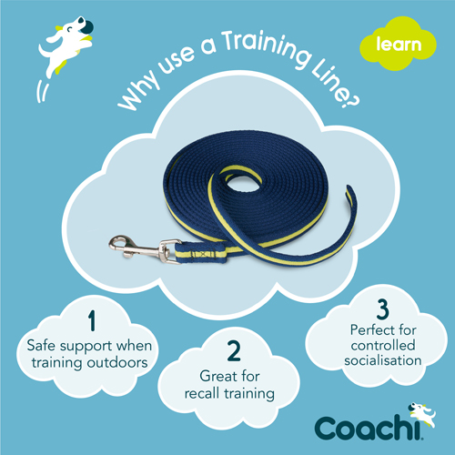 Coachi Treeniliina, merensininen & lime, 5 m - 2