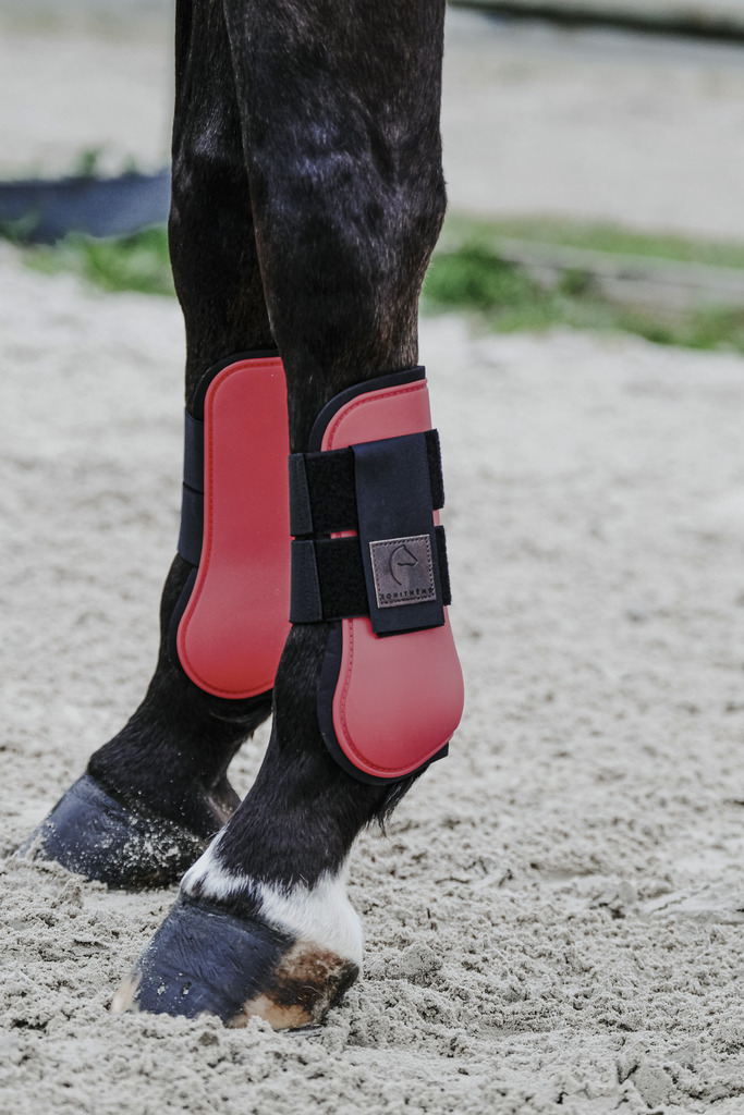 EQUITHEME Benskydd Fram Häst Röd - 3