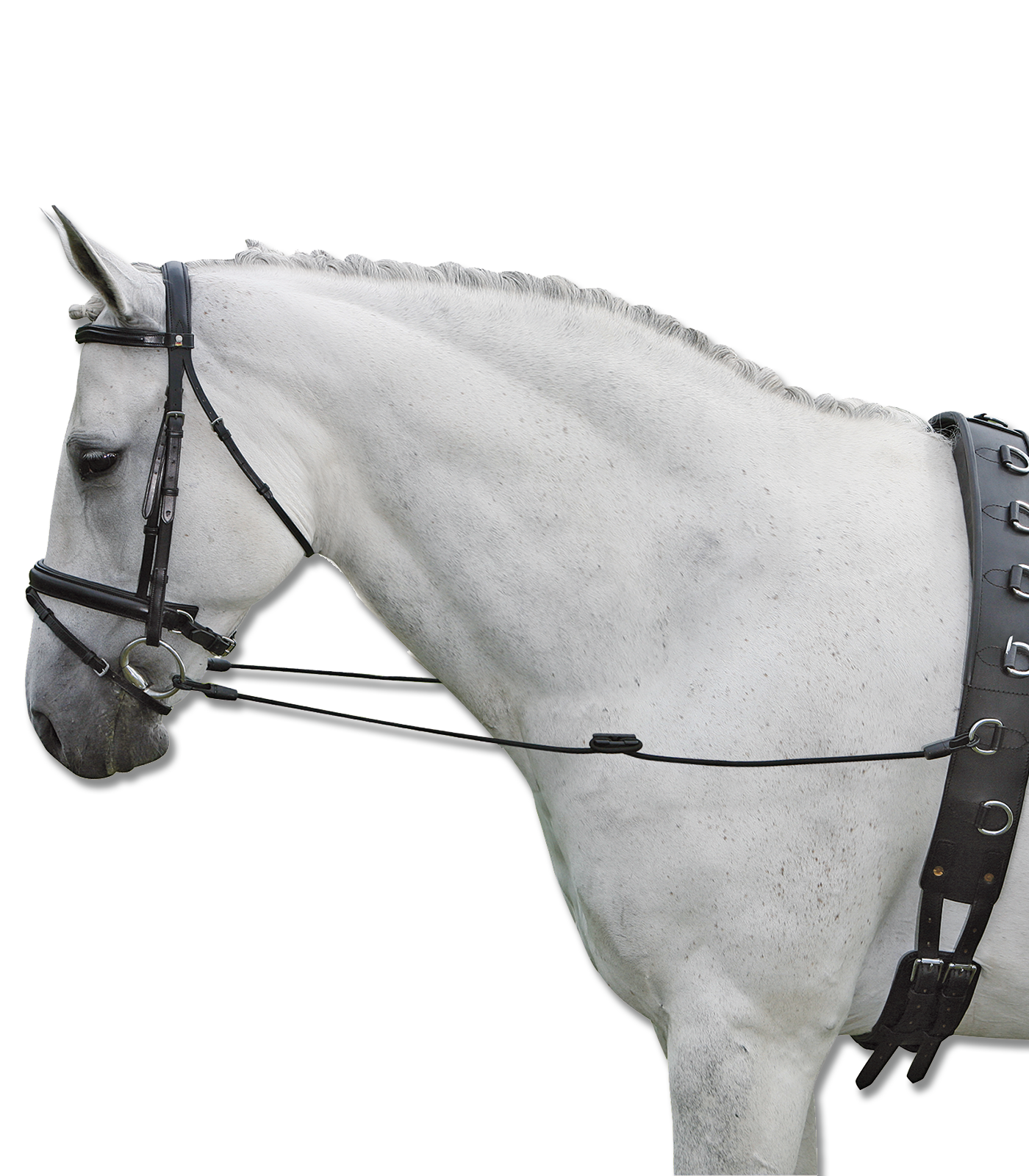 Waldhausen Side Reins Elastic black