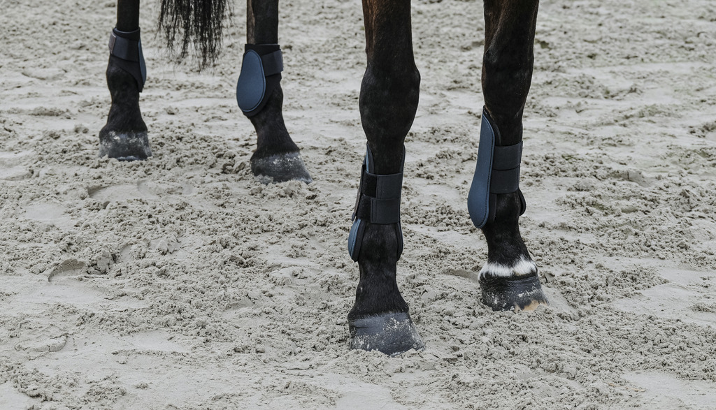 EQUITHEME Tendon Boots Green - 3