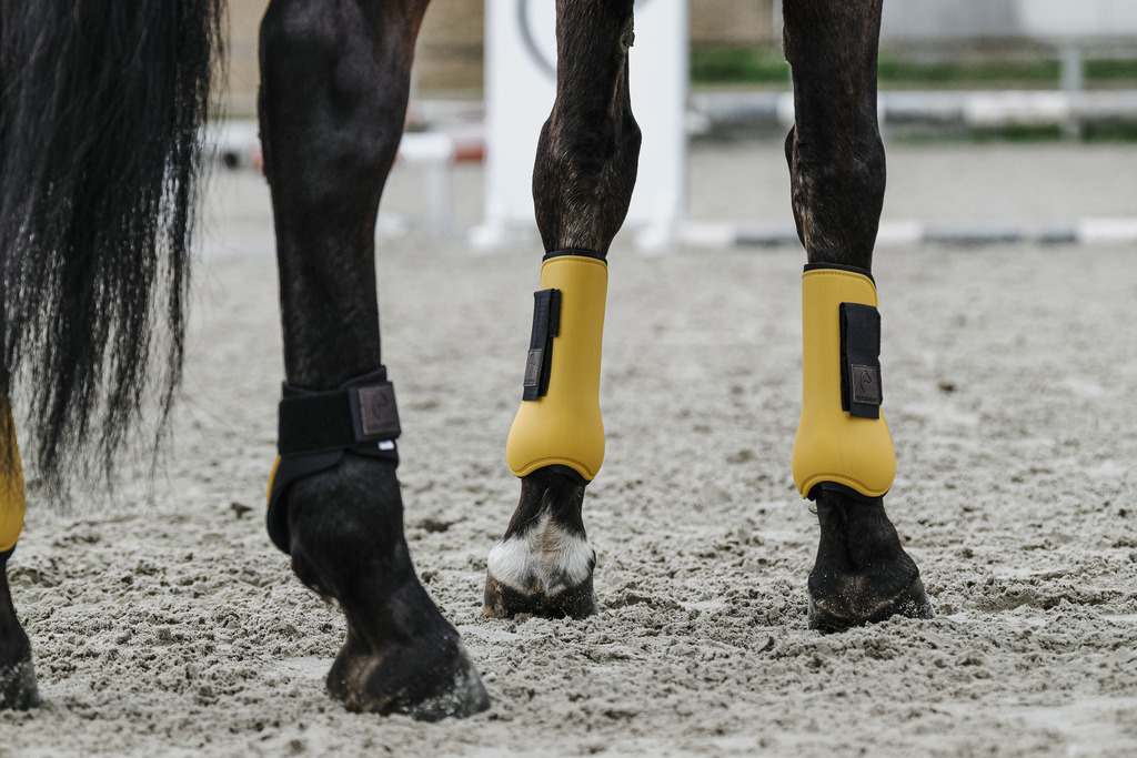 EQUITHEME Tendon Boots Gold - 4