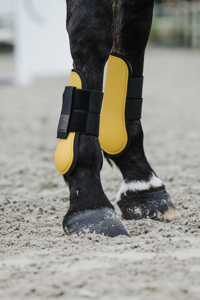 EQUITHEME Tendon Boots Gold - 2