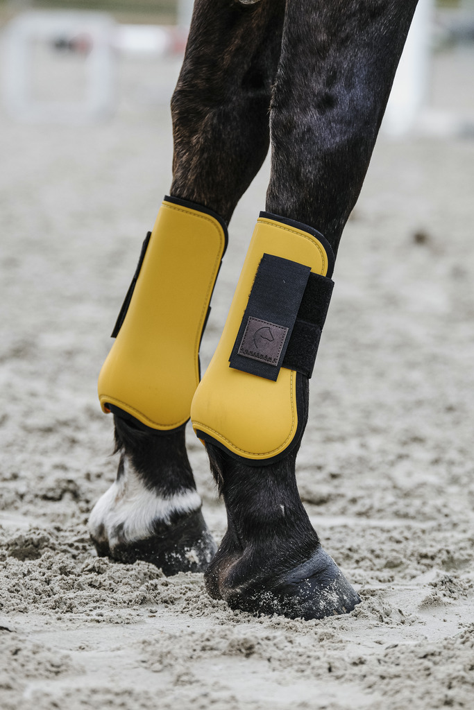 EQUITHEME Tendon Boots Gold - 3
