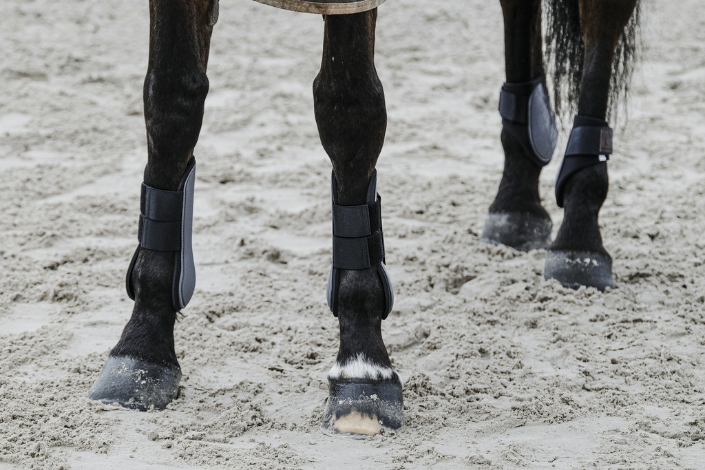 EQUITHEME Tendon Boots Grey - 2