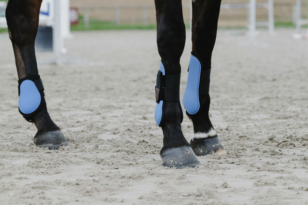 EQUITHEME Benskydd Fram Häst Sky Blue - 3