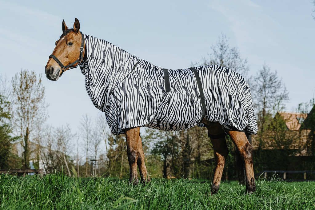 RIDING WORLD Zebra Anit-Eczema Hästtäcke Vit/Svart Zebra, 4'9 - 95 cm - 6