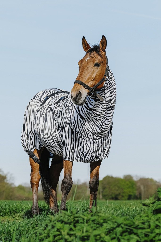 RIDING WORLD Zebra Anit-Eczema Hästtäcke Vit/Svart Zebra, 4'9 - 95 cm