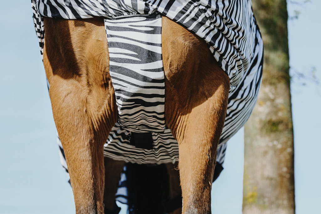 RIDING WORLD Zebra Anit-Eczema Hästtäcke Vit/Svart Zebra, 4'9 - 95 cm - 4