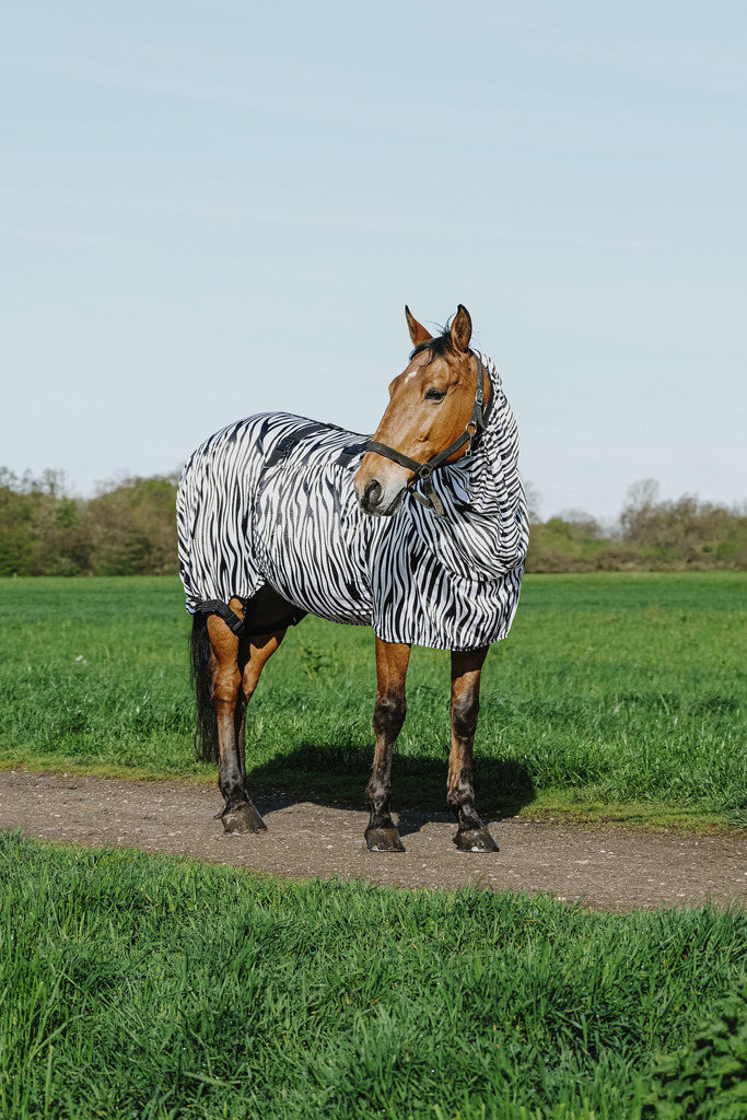 RIDING WORLD Zebra Anit-Eczema Hästtäcke Vit/Svart Zebra, 4'9 - 95 cm - 2