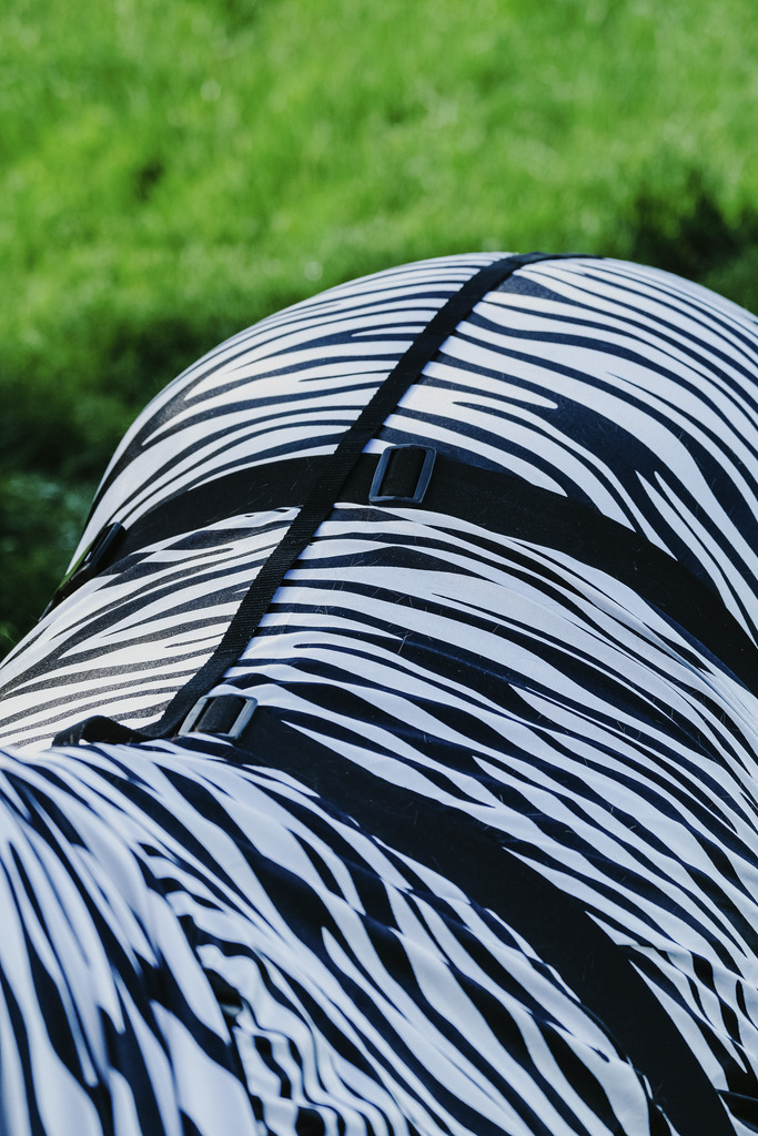 RIDING WORLD Zebra Anit-Eczema Hästtäcke Vit/Svart Zebra, 4'9 - 95 cm - 8