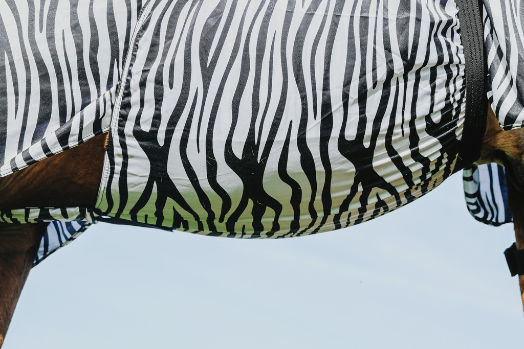 RIDING WORLD Zebra Anit-Eczema Hästtäcke Vit/Svart Zebra, 4'9 - 95 cm - 7