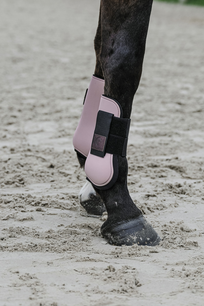 EQUITHEME Benskydd Fram Häst Rosa - 2
