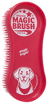 Magic Brush - Wild Rose