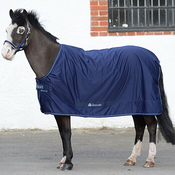 Bucas Shamrock Power Functional Rug - Navy/Silver