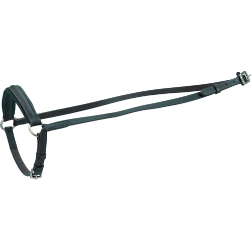 Horse Guard Cheval drop noseband black
