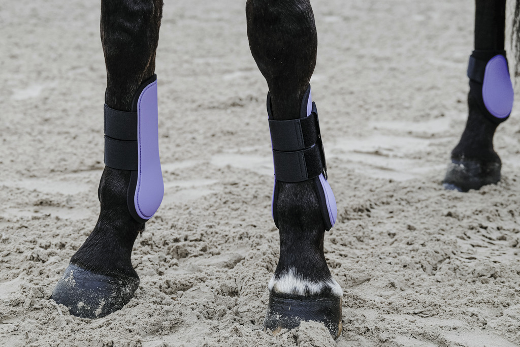 EQUITHEME Etujalkasuojat Hevoselle Lilas - 4