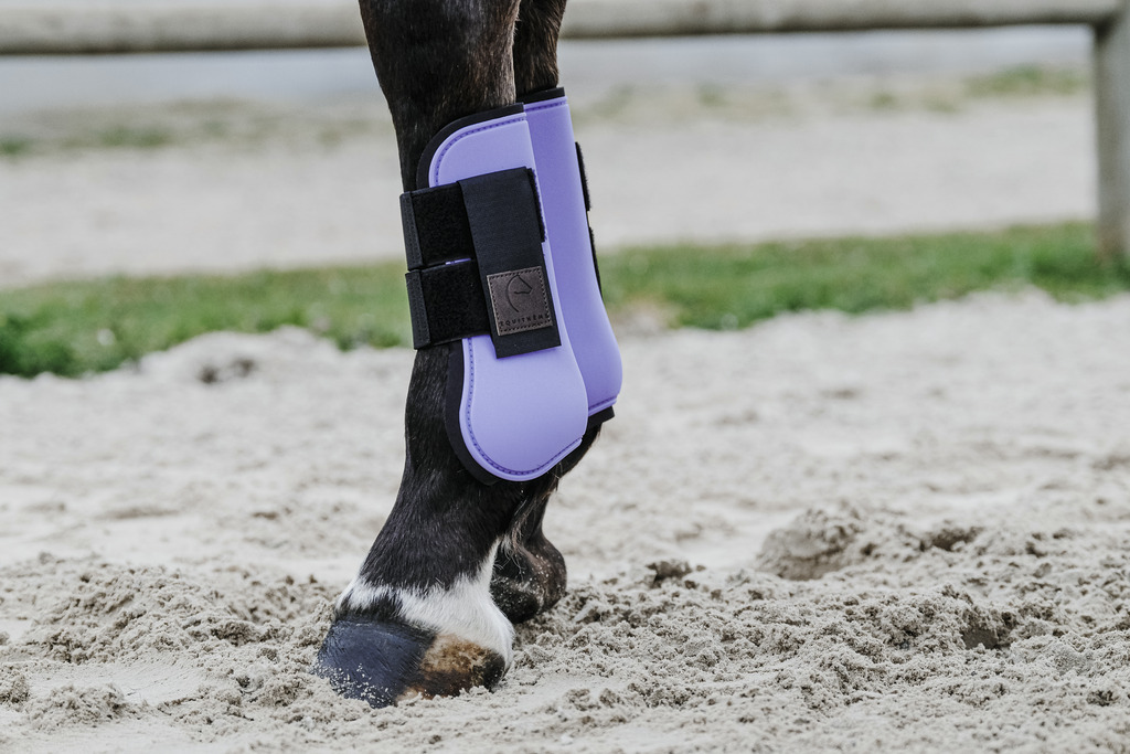 EQUITHEME Etujalkasuojat Hevoselle Lilas - 3