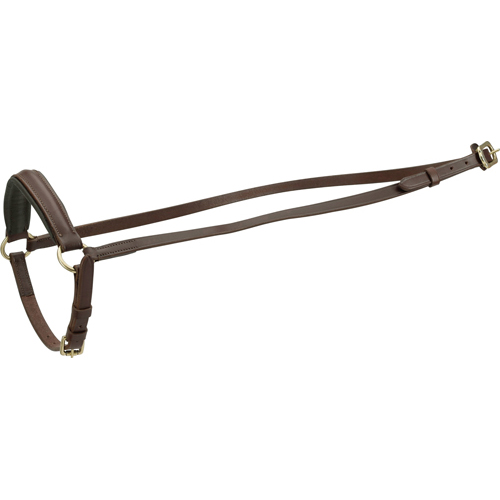 Horse Guard Cheval drop noseband Ruskea