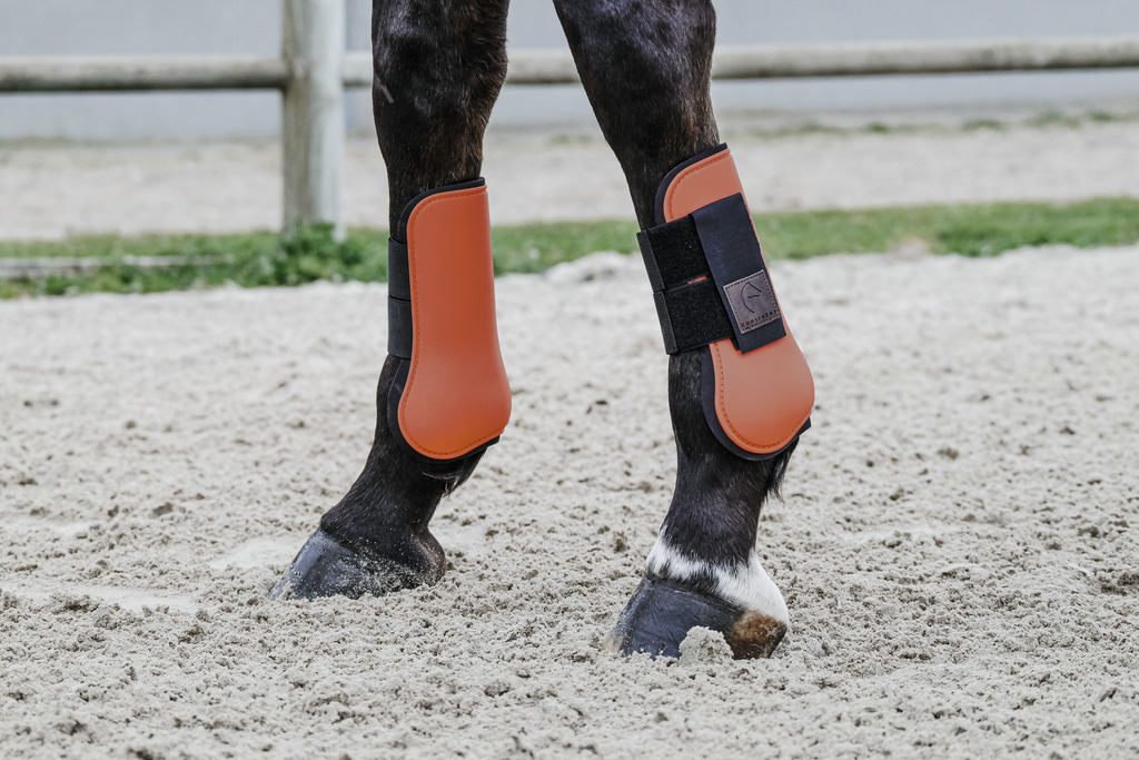 EQUITHEME Tendon Boots Orange - 2