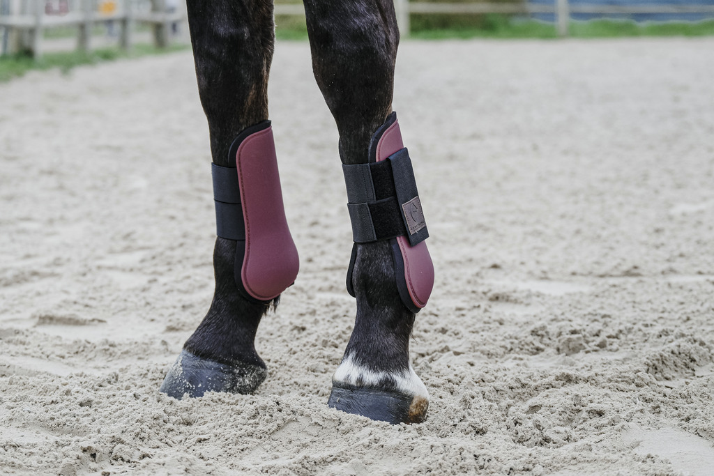 EQUITHEME Benskydd Fram Häst Burgundy - 2