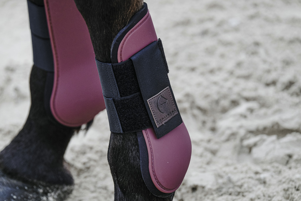EQUITHEME Benskydd Fram Häst Burgundy - 4