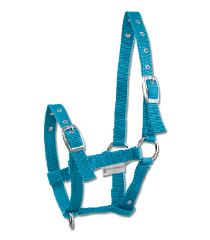 Varsariimu Waldhausen Triple