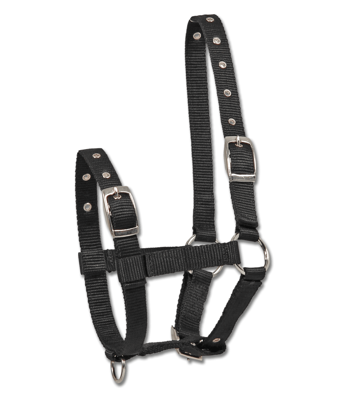 Varsariimu Waldhausen Triple - 4