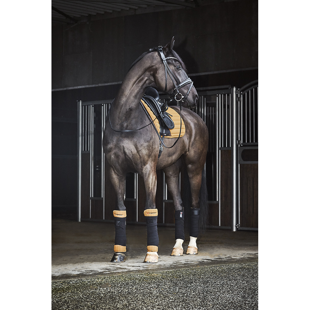CATAGO SAVI bridle black - 2