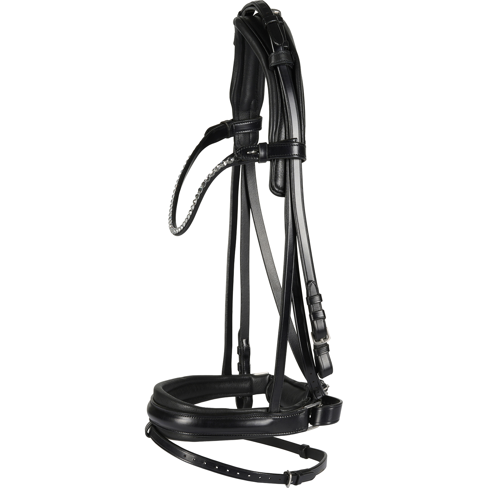 CATAGO SAVI bridle black