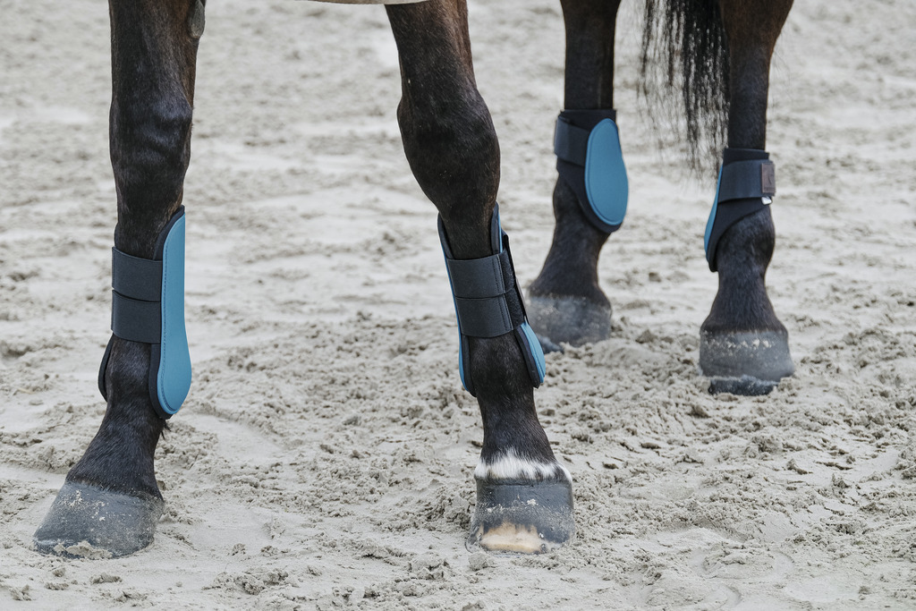 EQUITHEME Tendon Boots Duck Blue - 4