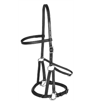 Waldhausen Linda Tellington-Jones Lindell black