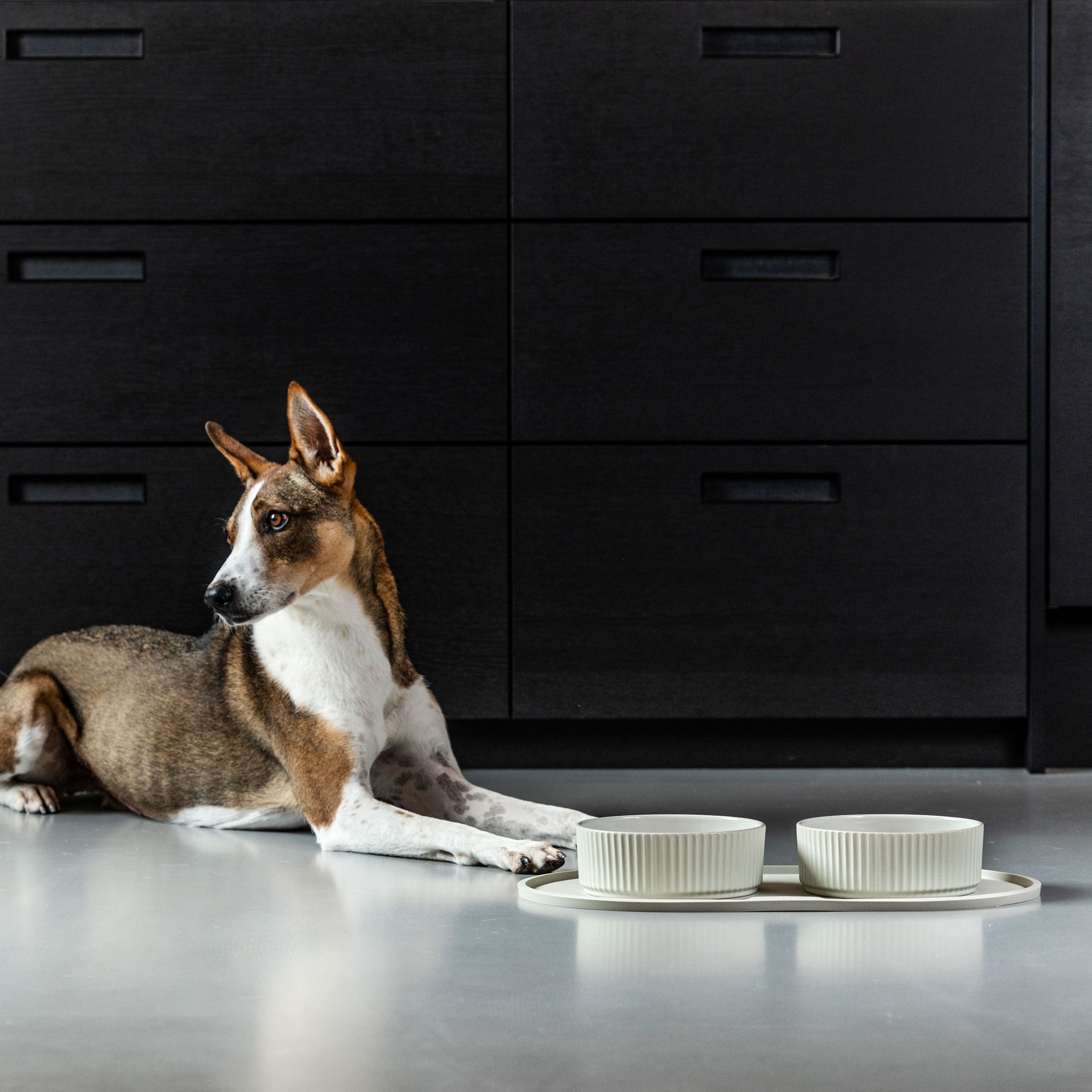 Dog Copenhagen Kronborg Food Bowl - Caffe Latte - Stoneware 