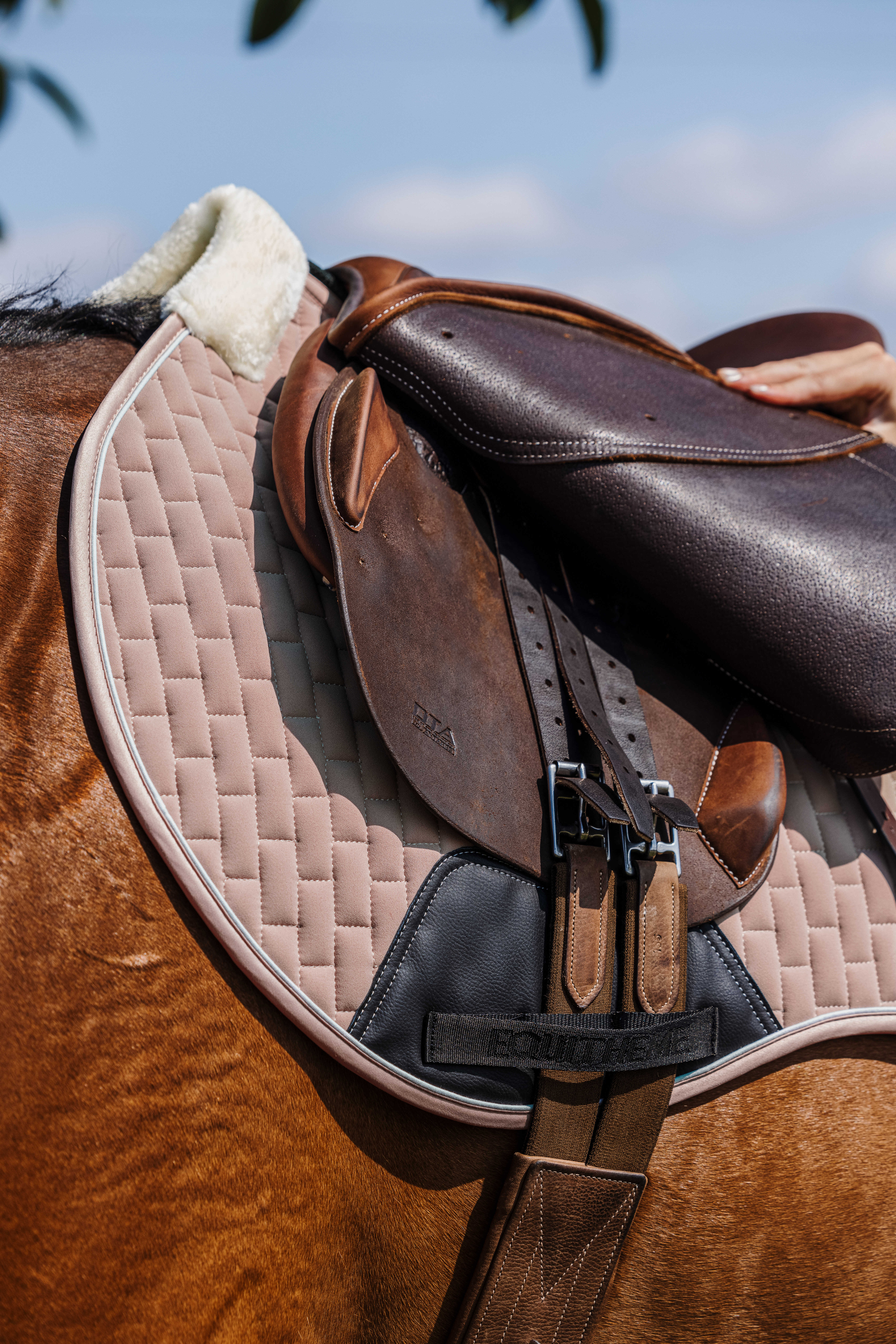 Equitheme Dinard Saddle Pad Beige - 5