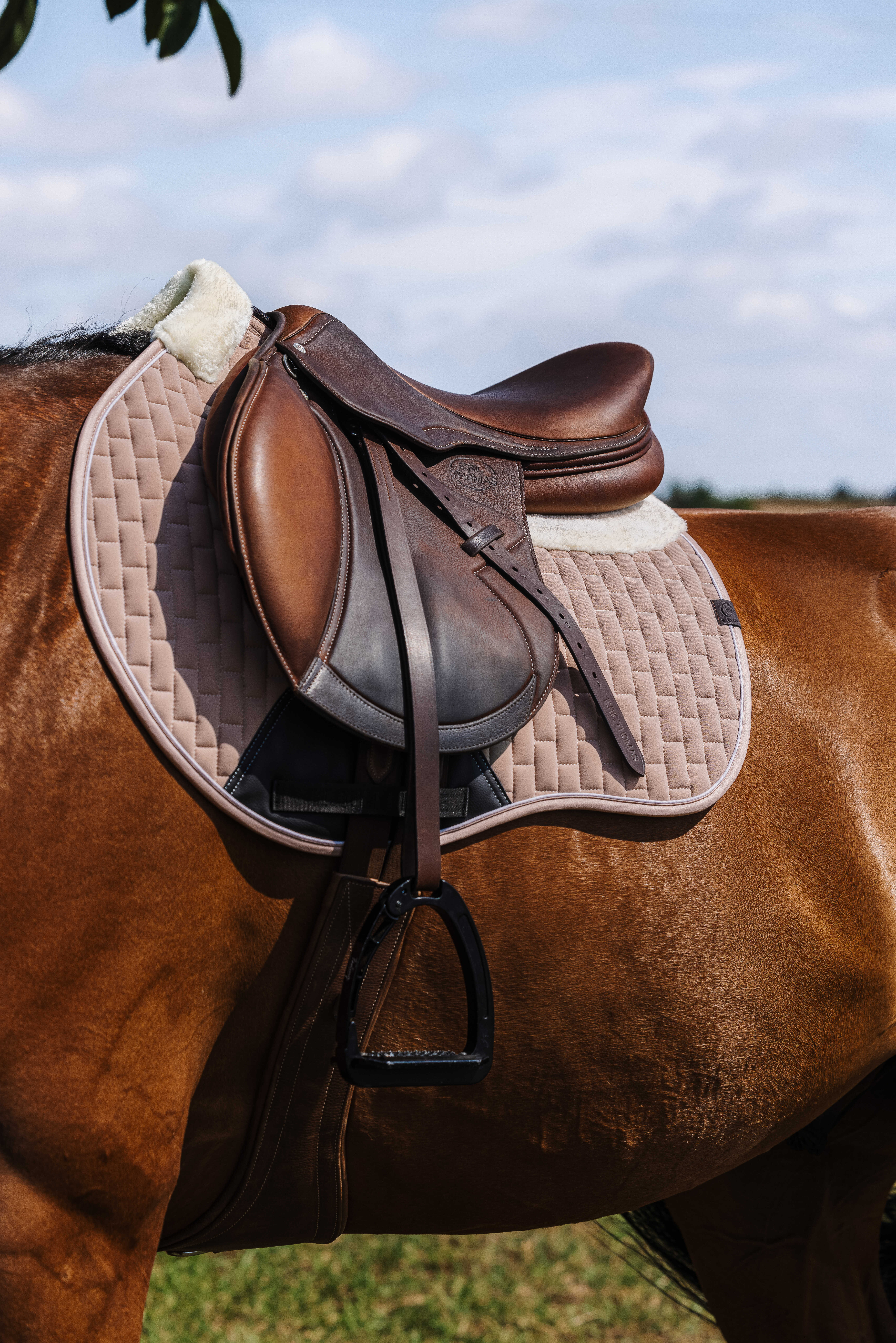 Equitheme Dinard Saddle Pad Beige - 3