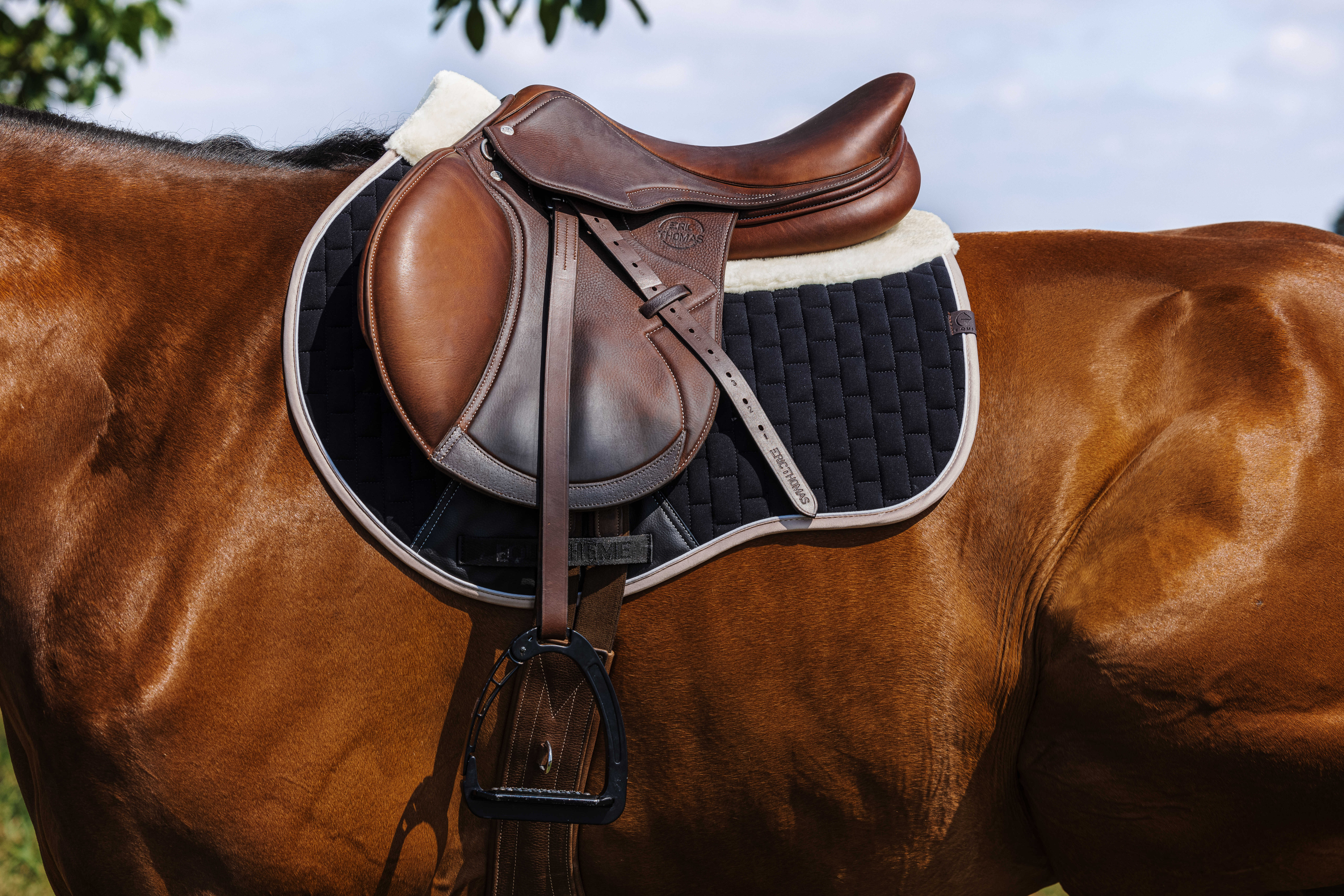 Equitheme Dinard Saddle Pad Black - 2