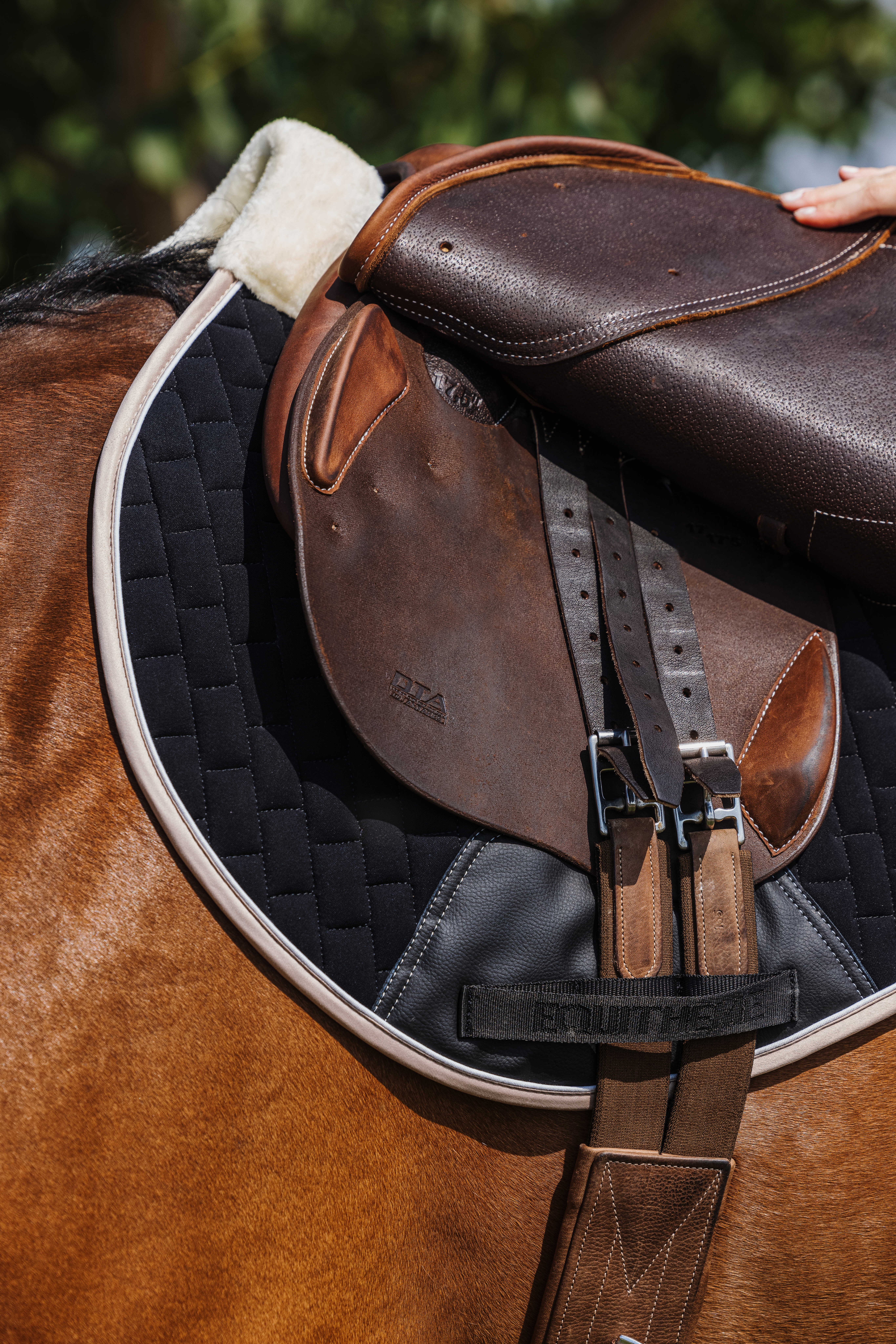 Equitheme Dinard Saddle Pad Black - 5