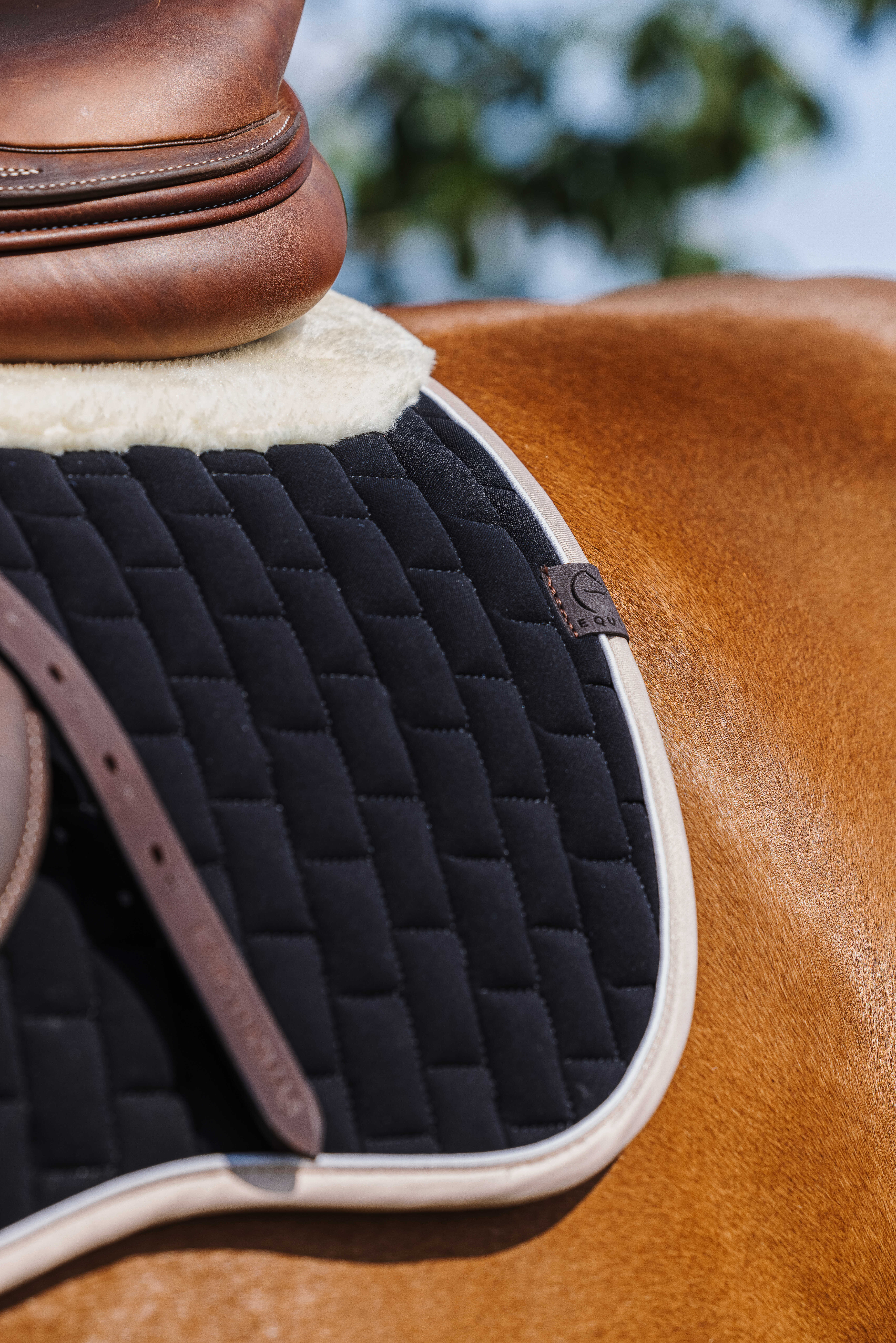 Equitheme Dinard Saddle Pad Black - 4