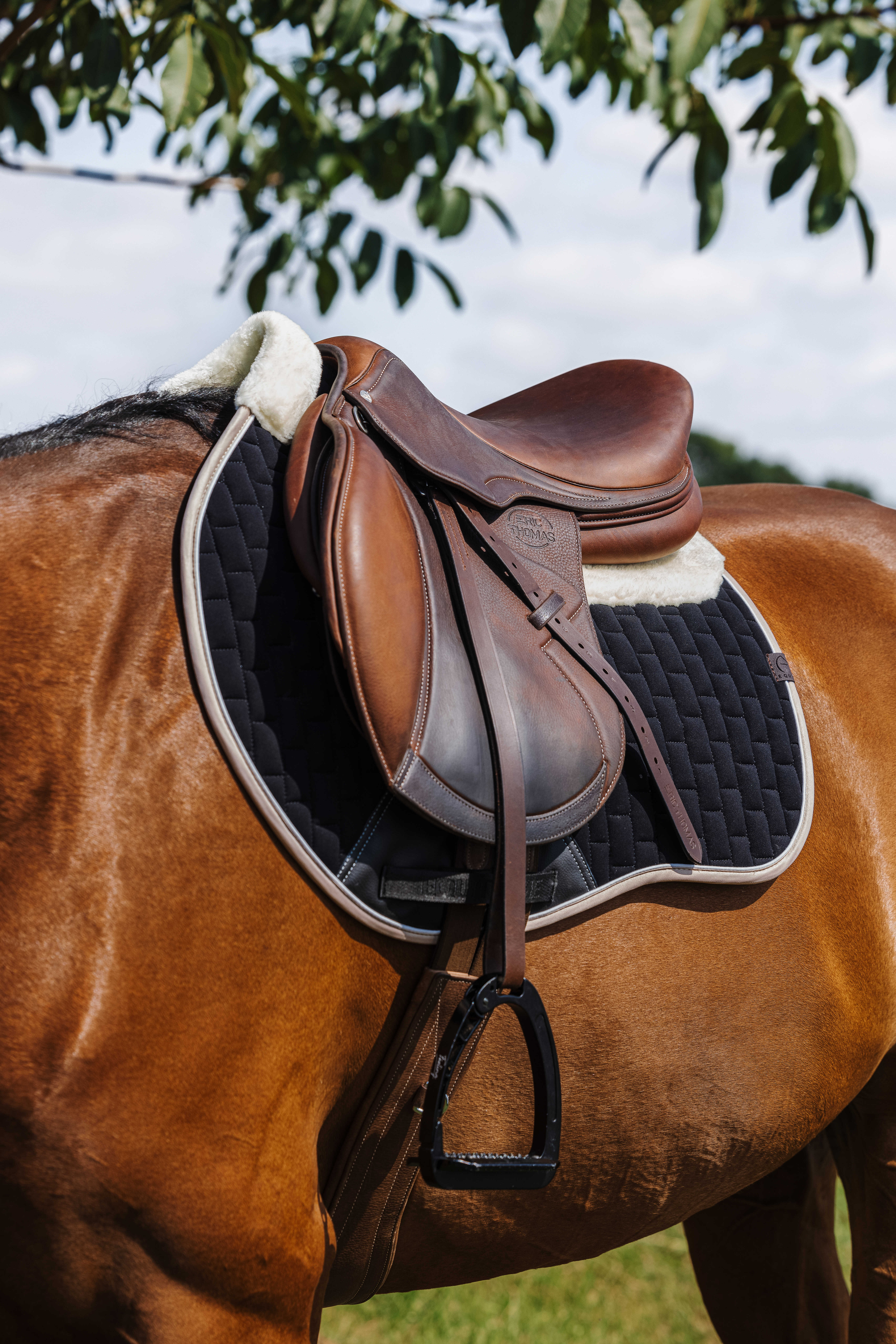 Equitheme Dinard Saddle Pad Black - 3