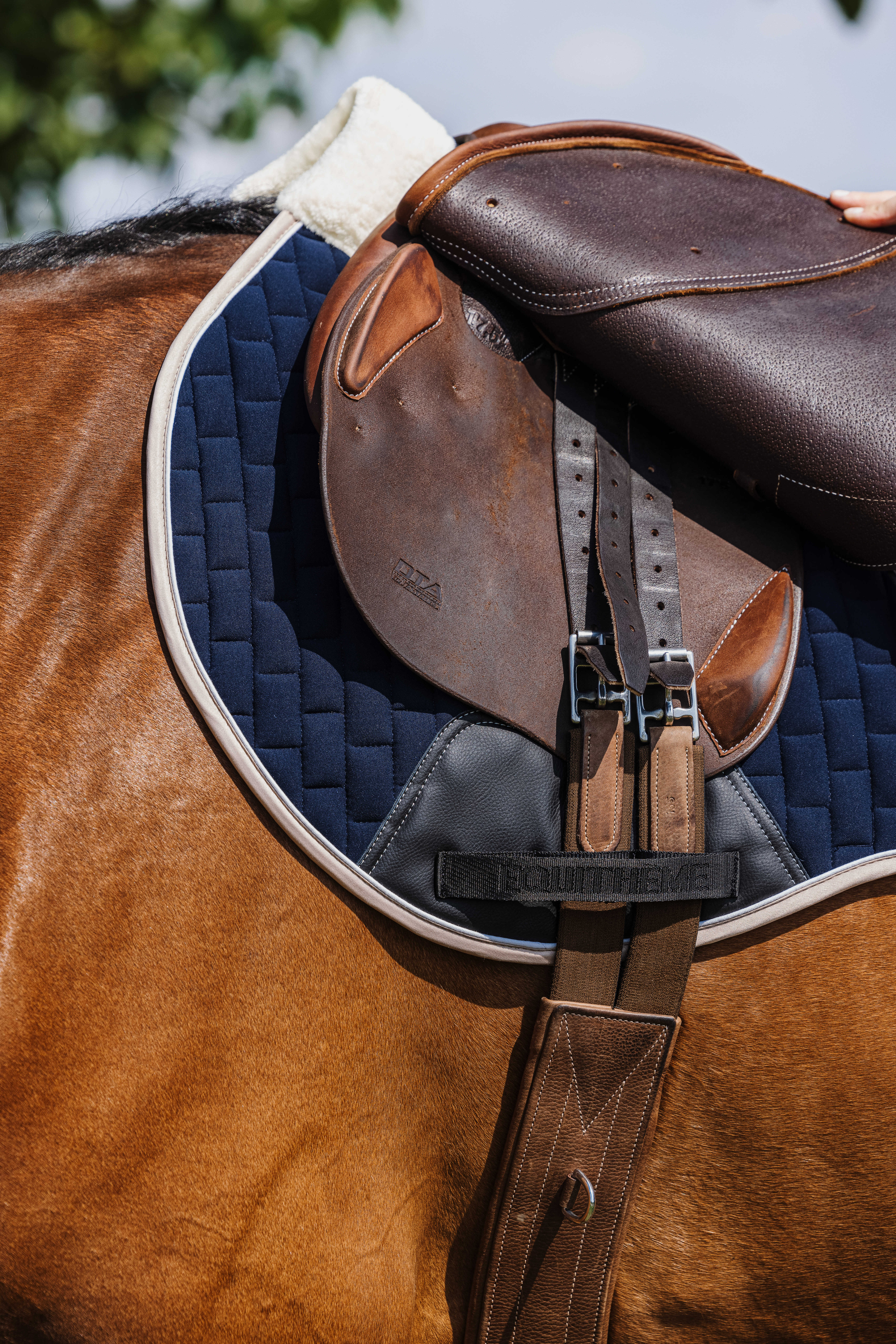 Equitheme Dinard Saddle Pad Navy blue - 5