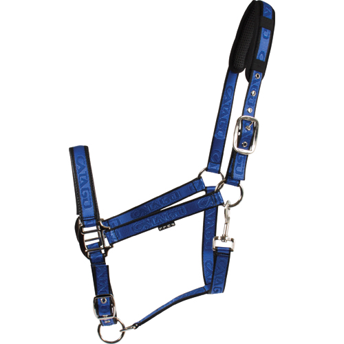 CATAGO halter royal blue