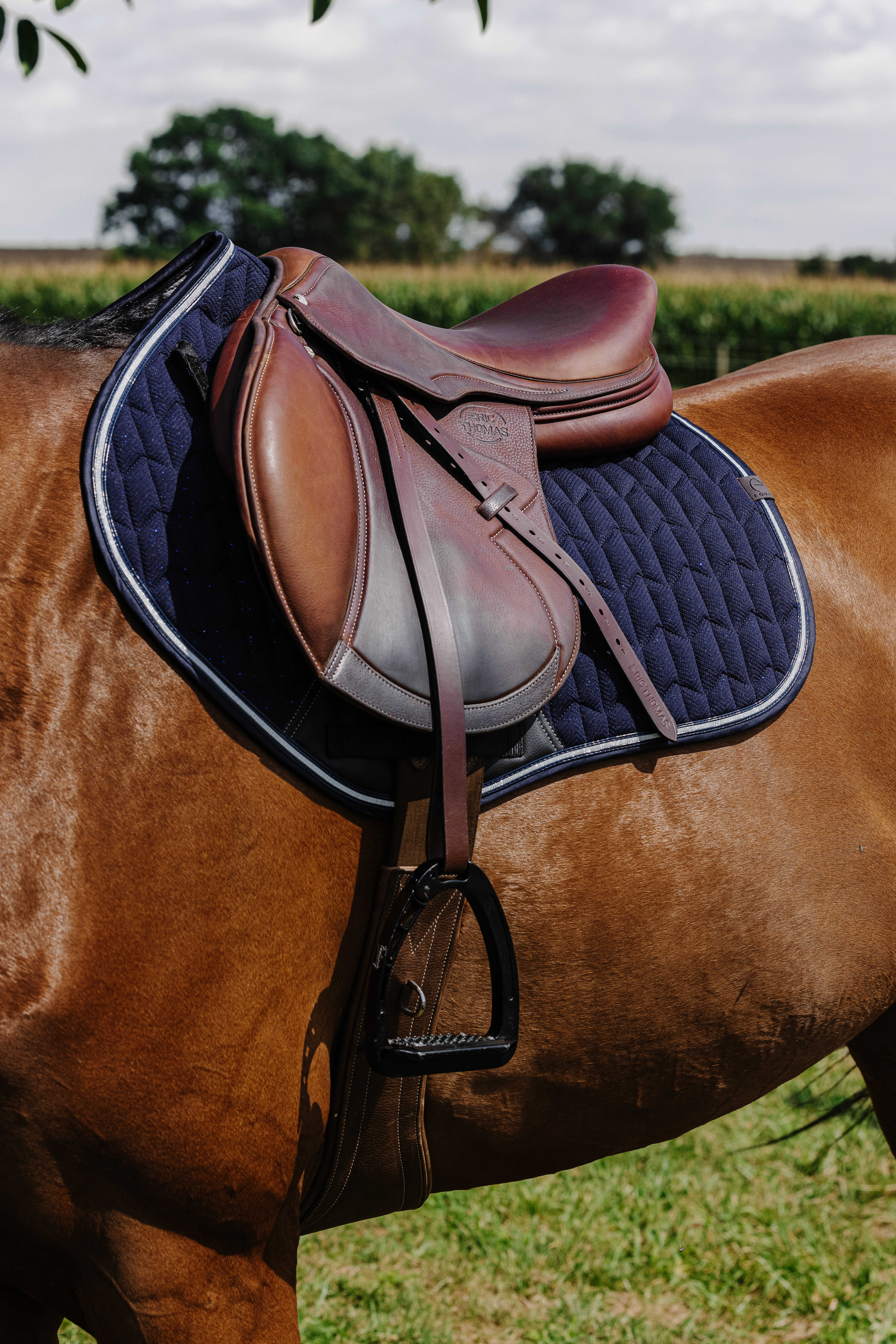 Equitheme Eclat Saddle Pad Navy blue - 3
