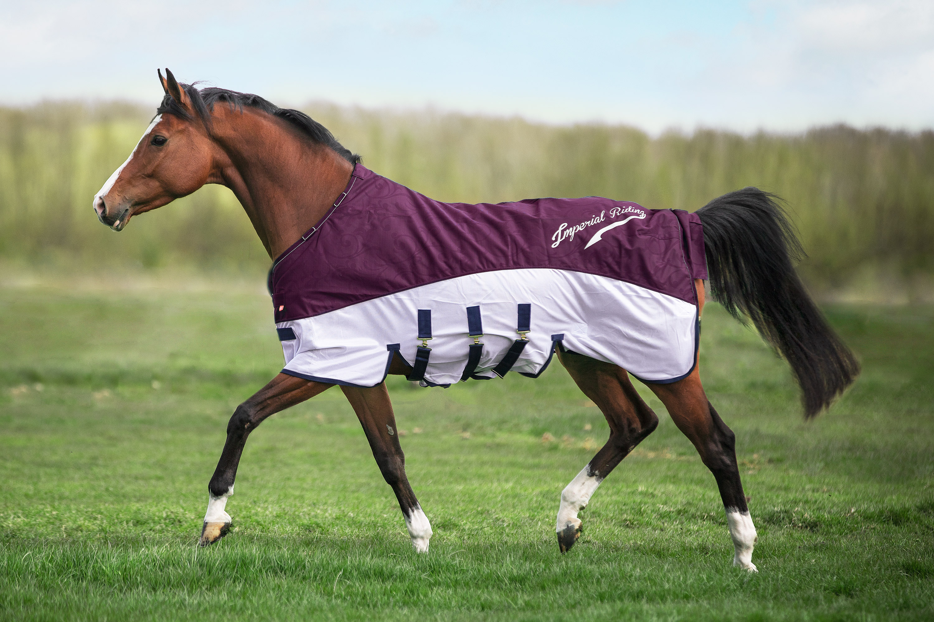 Imperial Riding Regn- och Flugtäcke Super-dry Bordeaux - 9