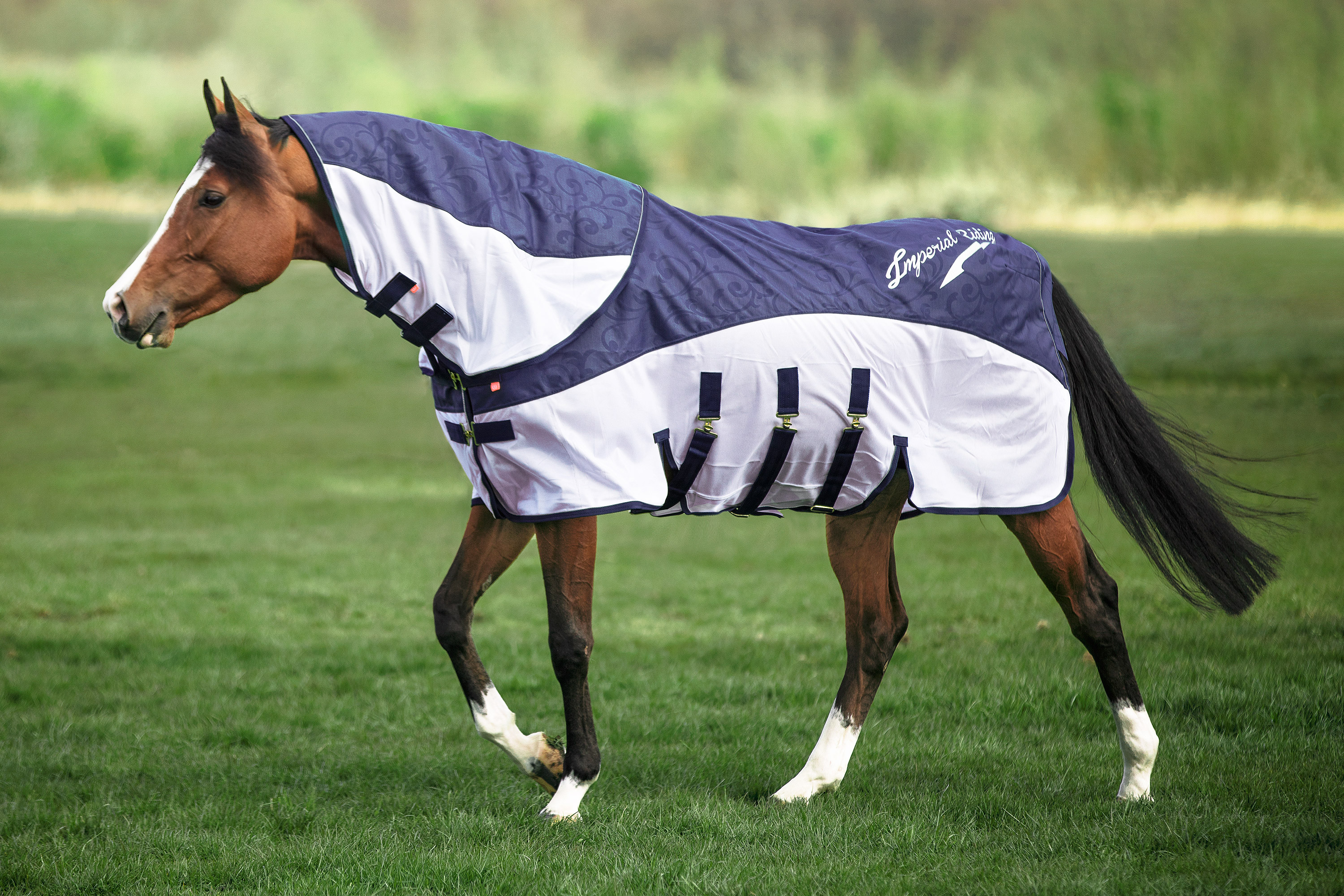Imperial Riding Sade- ja kärpäsloimi Super-dry Navy - 11