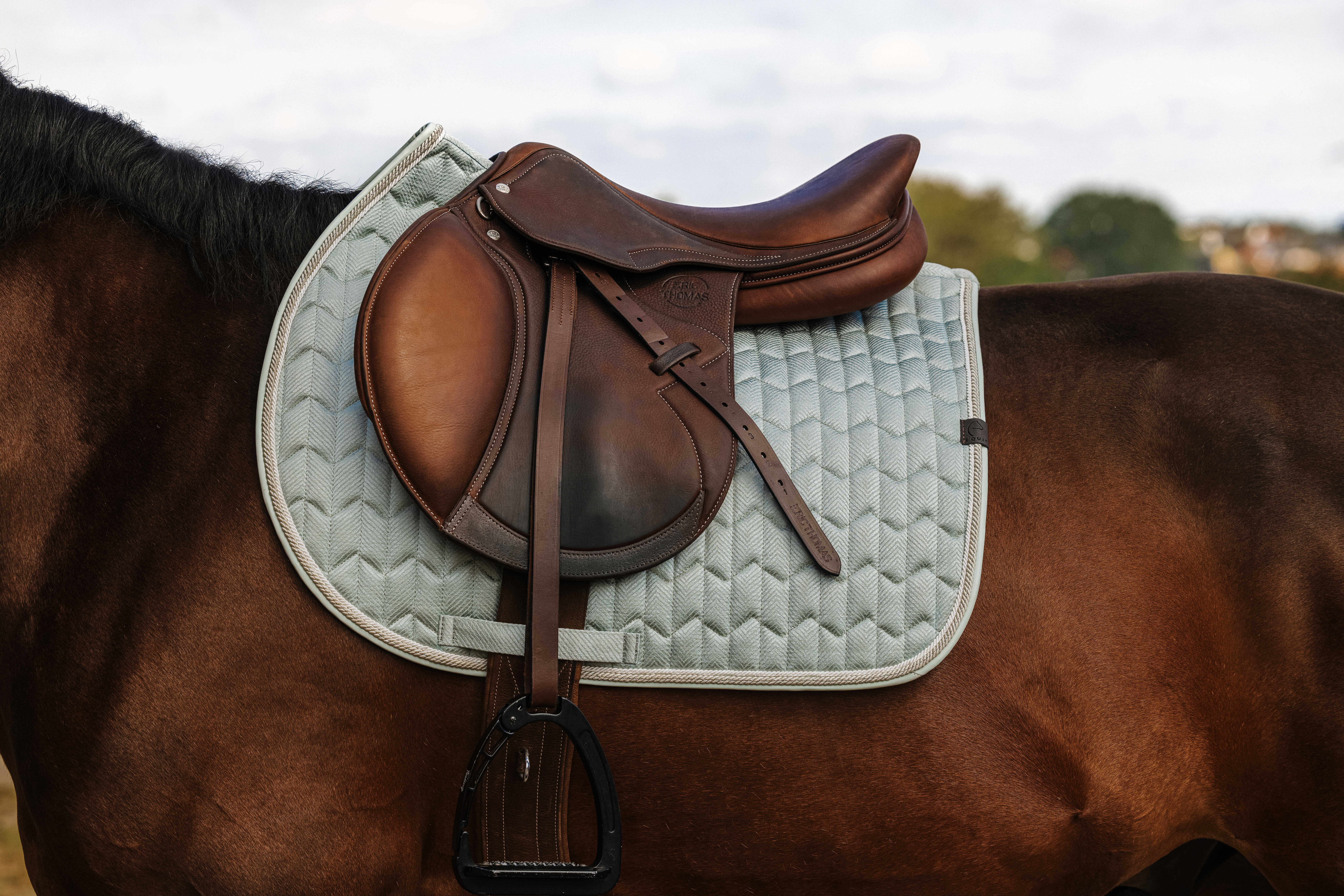 Equitheme Excellence Saddle Pad Green - 2