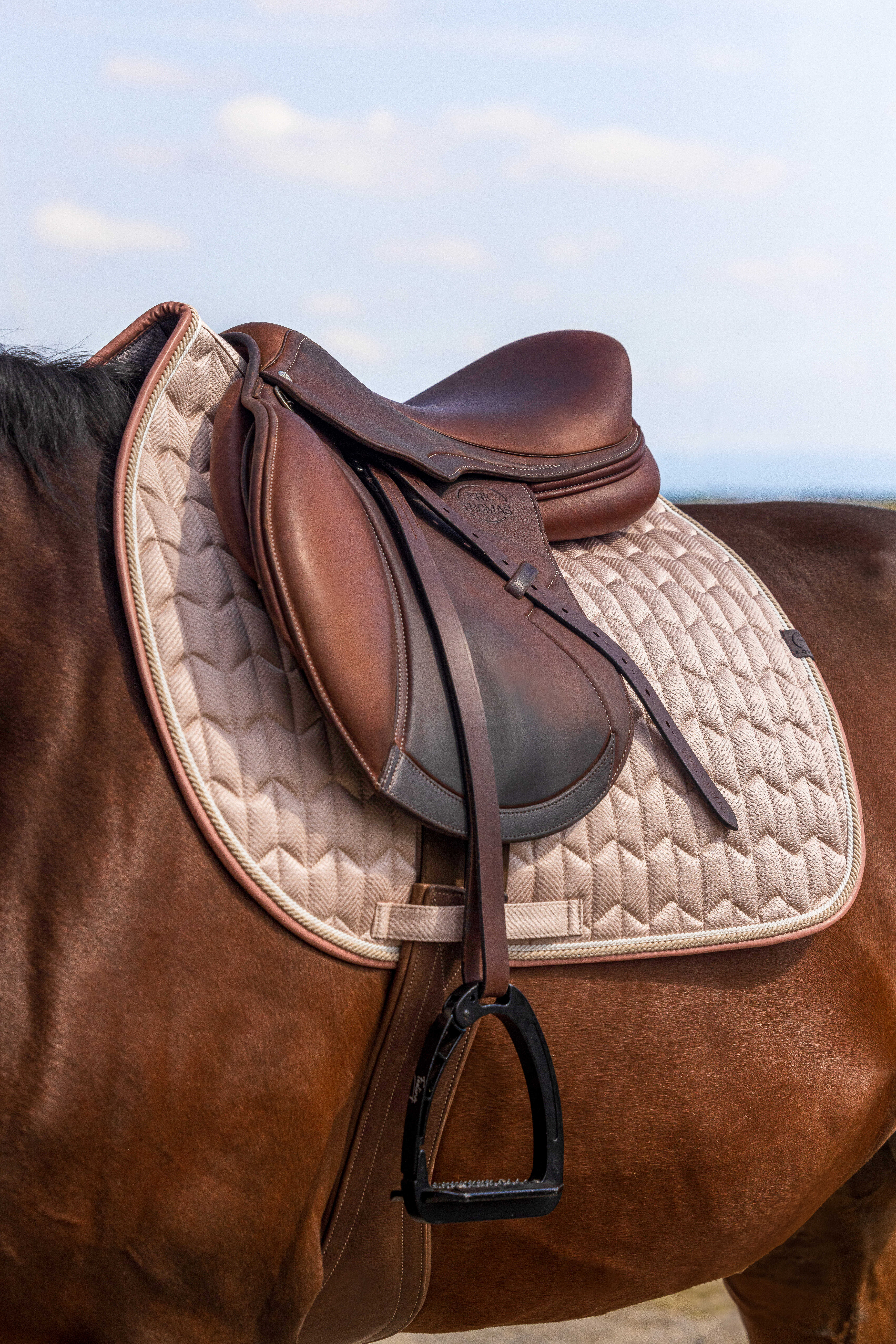 Equitheme Excellence Saddle Pad Pink - 3