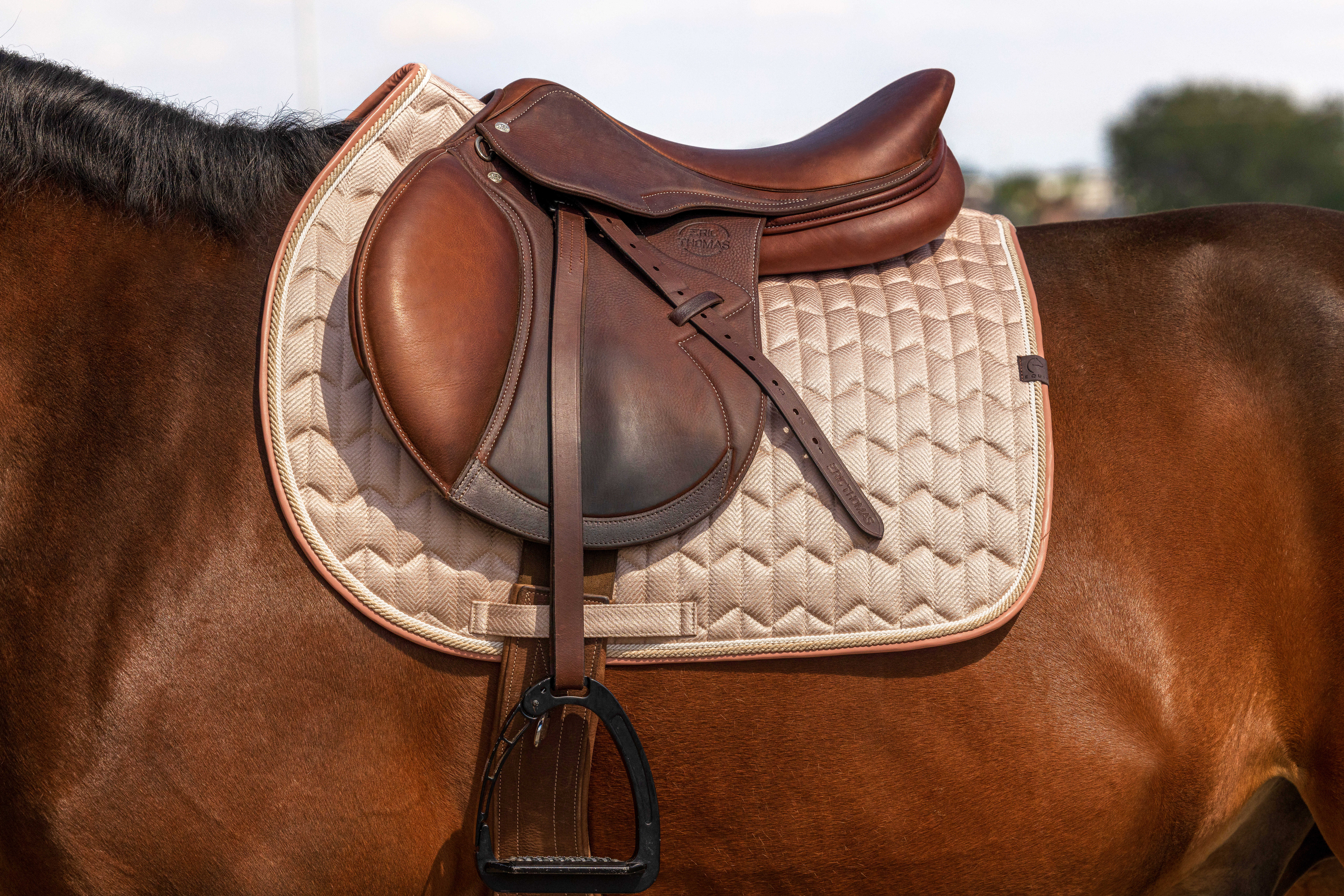 Equitheme Excellence Saddle Pad Pink - 2